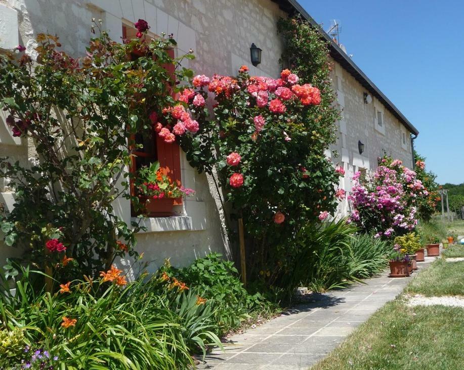 La Maison Des Fleurs Otel Saint-Senoch Dış mekan fotoğraf